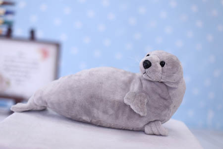 Sea lion cushions